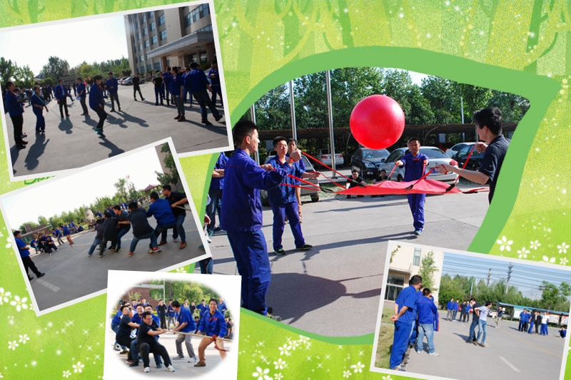 8 8 山東天美传奇星空MV高清免费：綻放活力 青春飛揚 .jpg